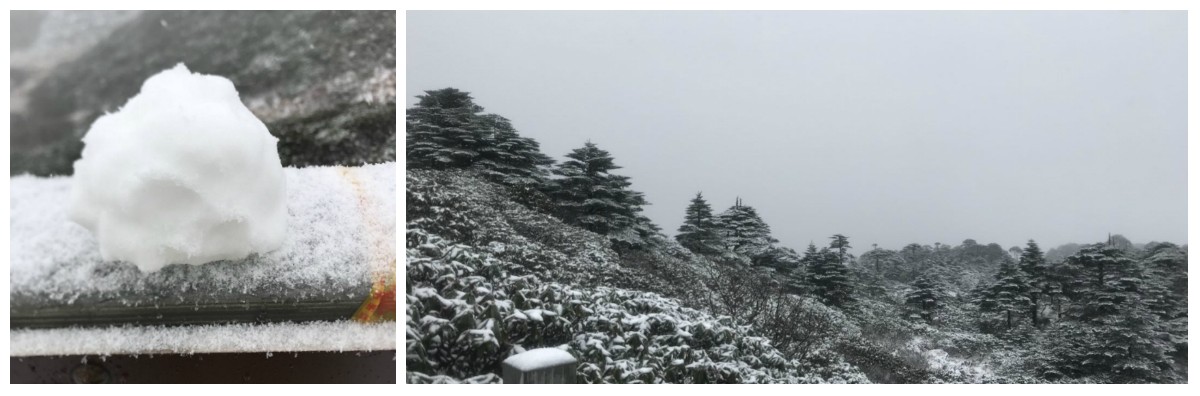 風(fēng)花雪月瑞方情，萬水千山大理行 第6張