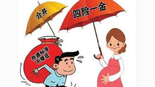 取消生育險(xiǎn)了嗎？ 第1張